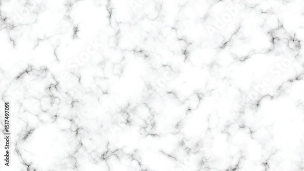 Obraz Light White Marble Background with Soft Gray Veins