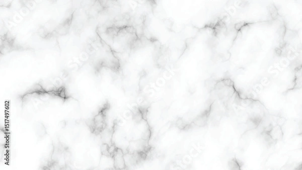 Obraz White Marble Background with Soft Gray Veins