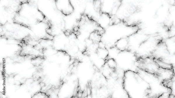 Obraz White Marble Texture Background with Subtle Black Veins