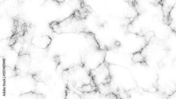 Obraz Close-Up White Marble Texture with Black Veins
