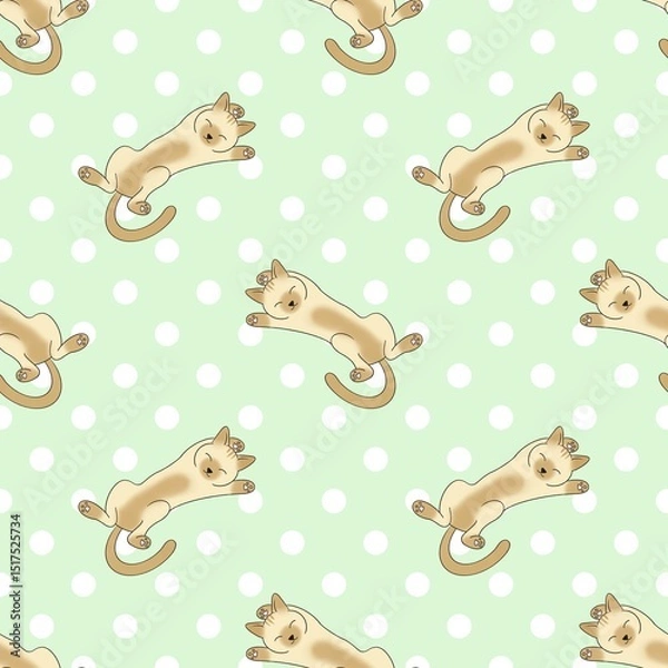 Fototapeta Picture of a brown cat lying on its back looking happy.