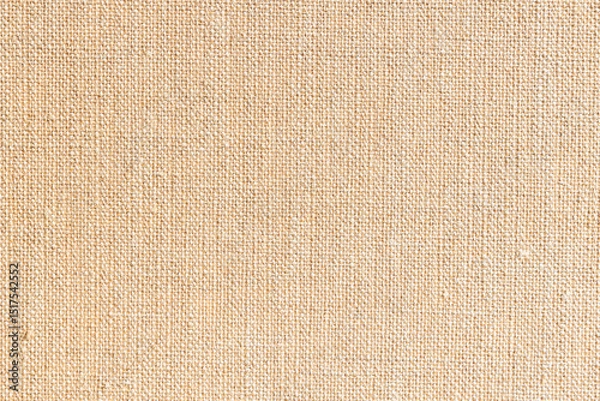 Obraz 未塗装の麻布カンバスの素朴なテクスチャ