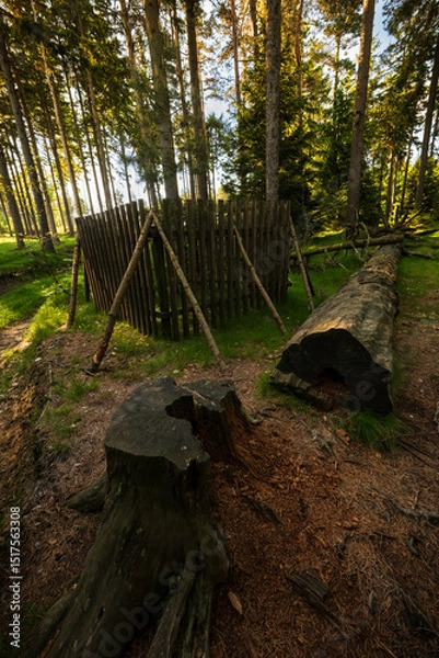 Fototapeta Landscape photography full of forests, rocks and paths