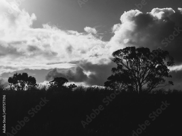 Obraz Landscape with clouds