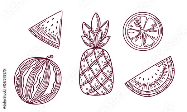 Fototapeta Hand-drawn fruit set in sketch style. Watermelon, lemon, and pineapple outline. Engraving summer fruit for labels, cards, or decorations. Vector illustration