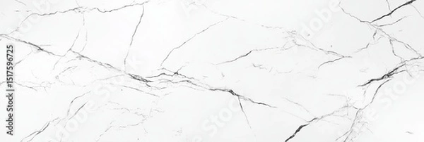 Obraz White marble texture with black and gray veining, smooth surface, abstract background suitable for design and decor