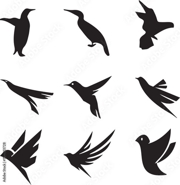 Fototapeta  Nice Black and White Birds Vector Set