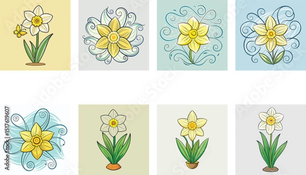 Fototapeta Collection Of Daffodil Flower Illustrations In Various Designs On Different Backgrounds