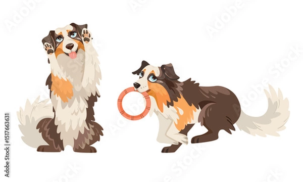 Obraz Playful Collie Dogs Happily Enjoying Their Time Together and Having Fun Outdoors