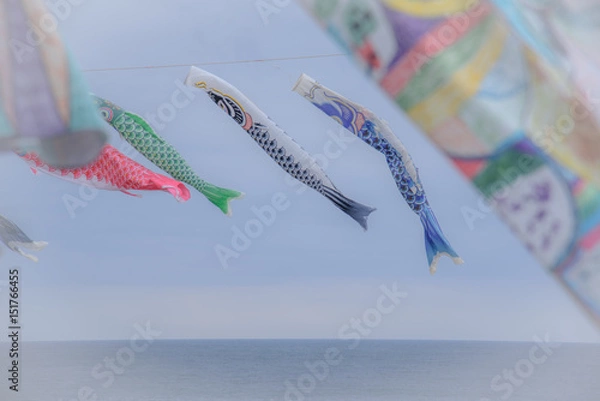 Fototapeta 鯉のぼり