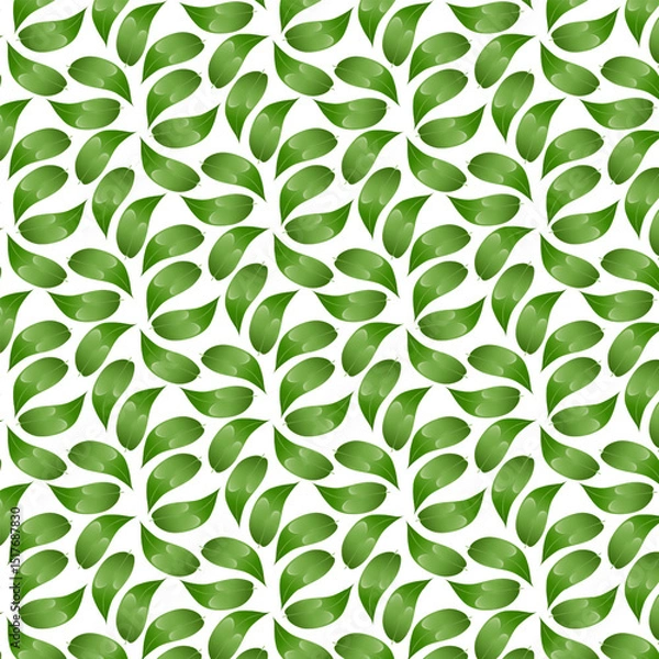 Fototapeta Seamless pattern jaboticaba leaves. Perfect for food packaging, healthy eating designs, recipe books, botanical projects, and tropical fruit collections