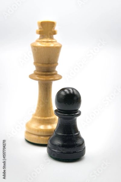 Fototapeta Fighting against a stronger opponent.
