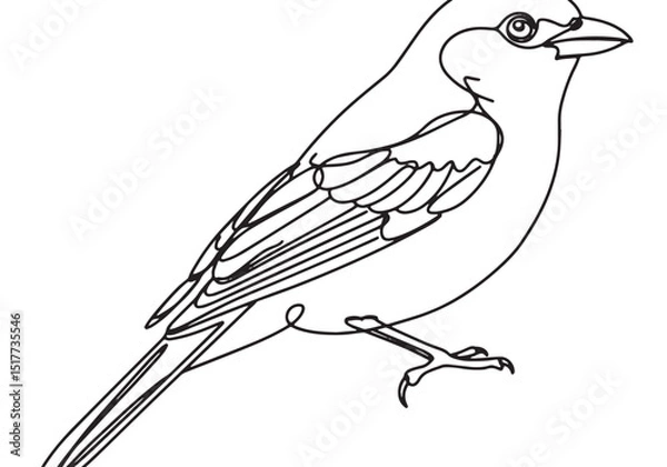 Fototapeta Elegant tanager bird depicted in minimalist continuous line draw