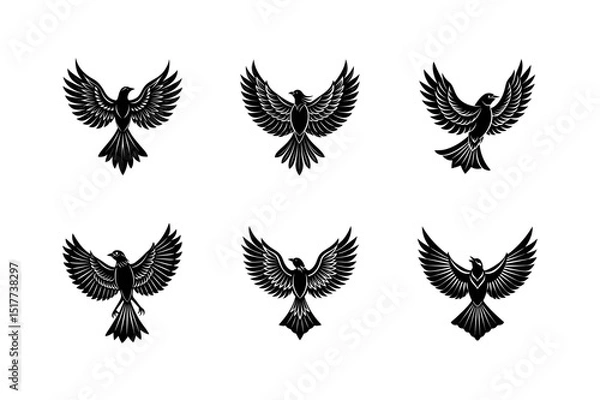 Fototapeta elegant bird silhouette with spread wings vector art