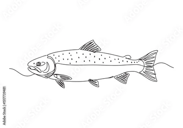 Fototapeta Elegant salmon illustration in continuous line art style, perfec