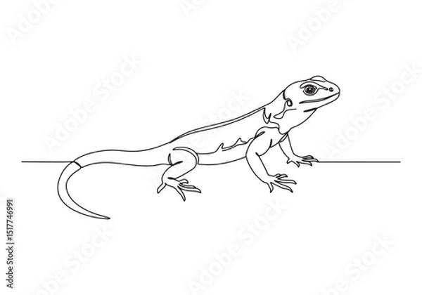 Fototapeta Captivating collared lizard in a sleek continuous line drawing s