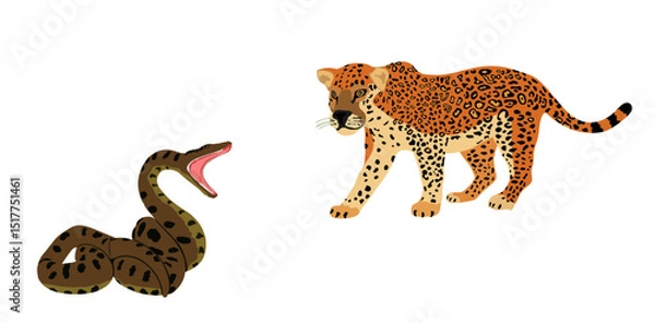 Obraz Ambush jaguar attack snake vector illustration isolated. Survivor watering place battle powerful reptile boa against wild cat animal. Predator carnivore feline panther lurking prey anaconda serpent.