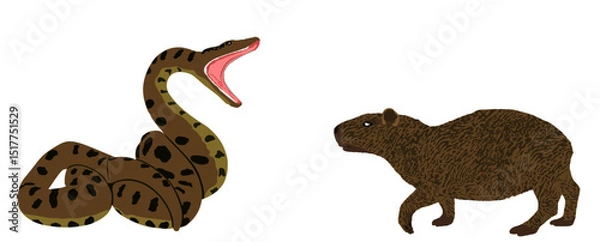 Obraz Ambush anaconda snake attack Capybara vector illustration isolated. Survivor watering place battle powerful reptile boa against animal. Predator carnivore serpent lurking prey biggest rodent.