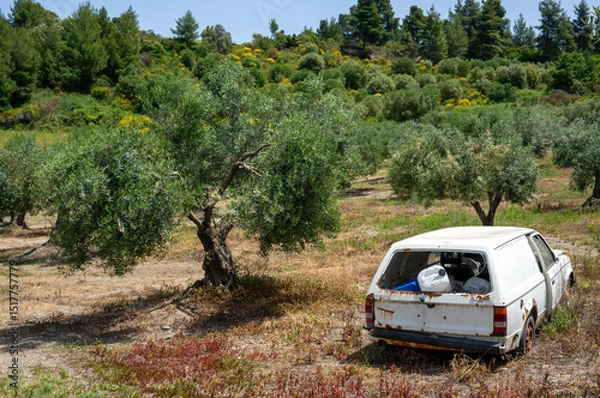 Obraz Old rusted car in the olive groves in Greece