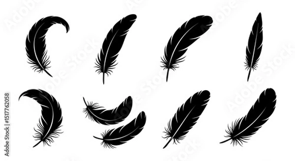 Fototapeta Vector Feather Icons collection. Black feather silhouette set.