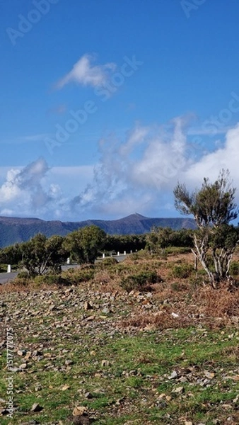 Fototapeta Fanal forest
A small plateau on the ER 209 road that connects the foothills of Pico Ruivo with Porto Moniz. An inconspicuous car park is on it, over 1100 m above sea level. This altitude keeps the who