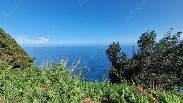 Fototapeta The coastal cliffs of Madeira Island offer breathtaking lookouts overlooking the vast Atlantic Ocean, where rugged rock formations meet endless blue waters. These viewpoints provide visitors with stun