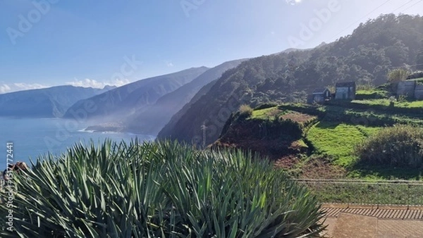 Fototapeta The coastal cliffs of Madeira Island offer breathtaking lookouts overlooking the vast Atlantic Ocean, where rugged rock formations meet endless blue waters. These viewpoints provide visitors with stun