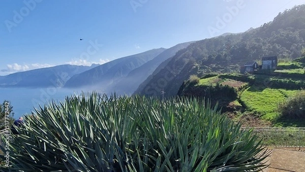 Fototapeta The coastal cliffs of Madeira Island offer breathtaking lookouts overlooking the vast Atlantic Ocean, where rugged rock formations meet endless blue waters. These viewpoints provide visitors with stun