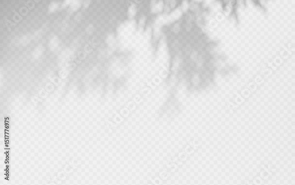 Obraz Shadow overlay from a tree branch isolated on a transparent background.