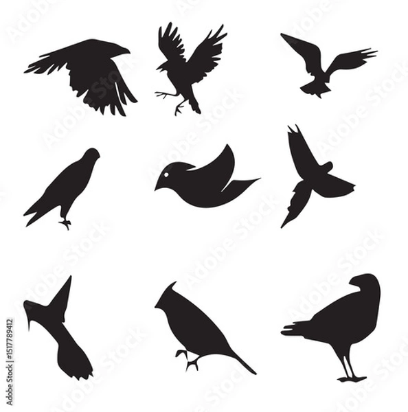 Fototapeta  Nice Birds Vector set