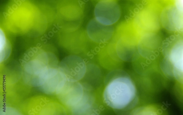 Obraz Green blurred background