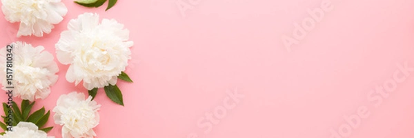 Fototapeta Fresh beautiful soft white peony flowers with green leaves on light pink table background. Pastel color. Closeup. Empty place for inspirational text, quote or sayings. Wide banner. Top down view.
