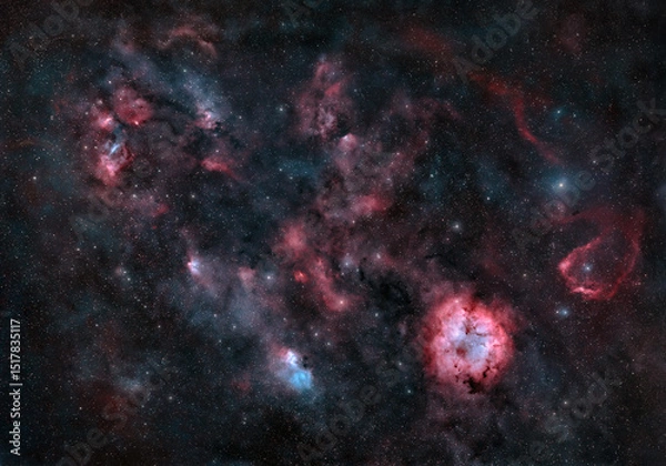 Fototapeta "The Elephant's Trunk Nebula" deep space astrophotography. The beauty of the universe in a majestic cosmic scene in the Milky Way galaxy