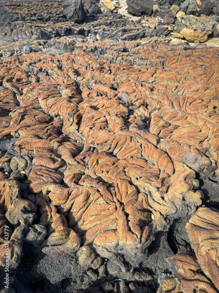 Fototapeta CLOSE UP: Fascinating textures of dried lava, stretching across a volcanic landscape under a clear sky. Warm brown and grey tones create a striking abstract visual of ancient geological formations.