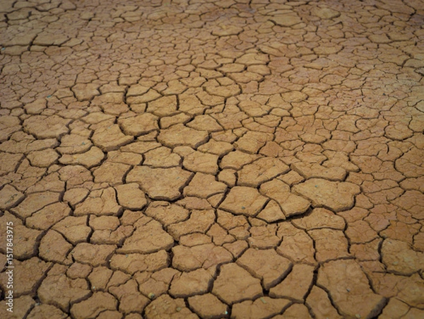 Fototapeta CLOSE UP: Dry, cracked earth reveals an intricate network of fissures across the parched surface. Pattern of the cracks emphasizes the severe effects of drought and arid conditions on the environment.