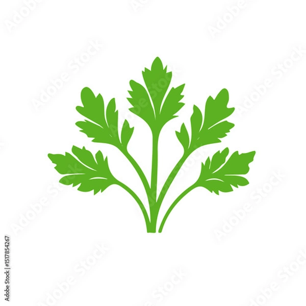 Obraz My Simple flat 2D icon celery isolated on transparent background, vector, flat design, animation design, simple flat 2D icon, minimalist design, Eps Format