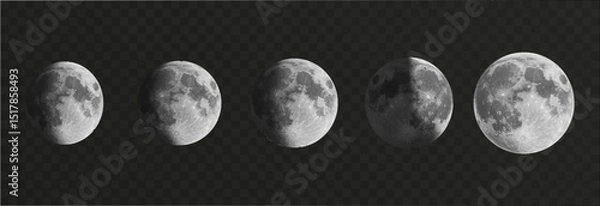 Fototapeta Set of realistic vector moon on an isolated transparent background. Moon vector png