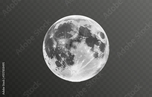 Fototapeta Realistic vector moon on an isolated transparent background. Moon vector png. Dark night with vector real moon.