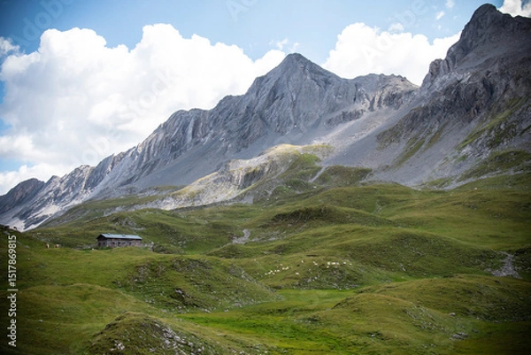 Fototapeta Panoramic alpine view with mountain peaks and lush valley