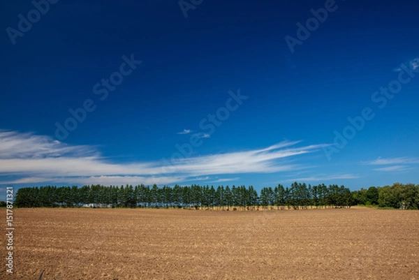Fototapeta Refreshing summer sky and fields
