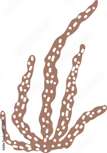 Fototapeta Artistic silhouette of laminaria. Hand drawn vector edible seaweed printing for restaurant business. Decorative print with kelp isolated on white background. Brown algae vector logo. Healthy food art