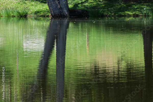 Obraz Reflets abstraits sur l’étang au fil de l’eau