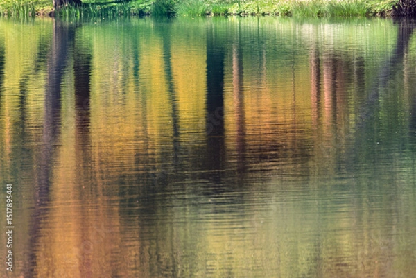 Obraz Reflets abstraits sur l’étang au fil de l’eau