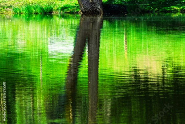 Obraz Reflets abstraits sur l’étang au fil de l’eau