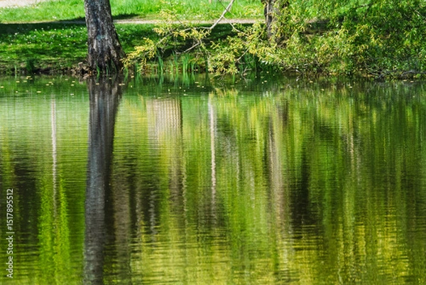 Obraz Reflets abstraits sur l’étang au fil de l’eau