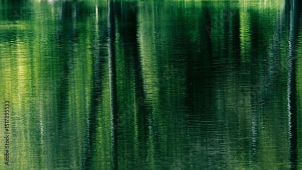 Obraz Reflets abstraits sur l’étang au fil de l’eau