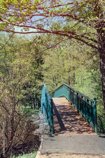 Obraz Charmant petit pont sur l’étang de Cessy
