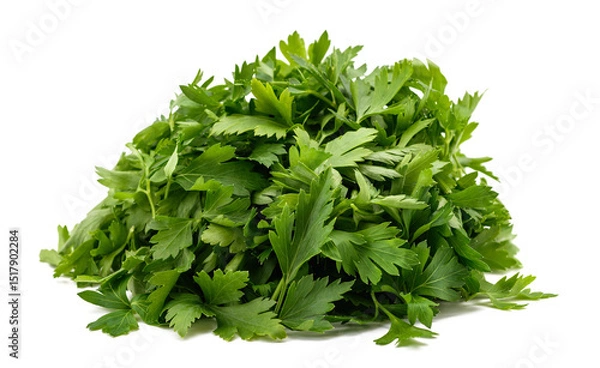 Obraz Pile of Parsley