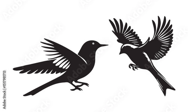 Obraz Bird set silhouette vector.