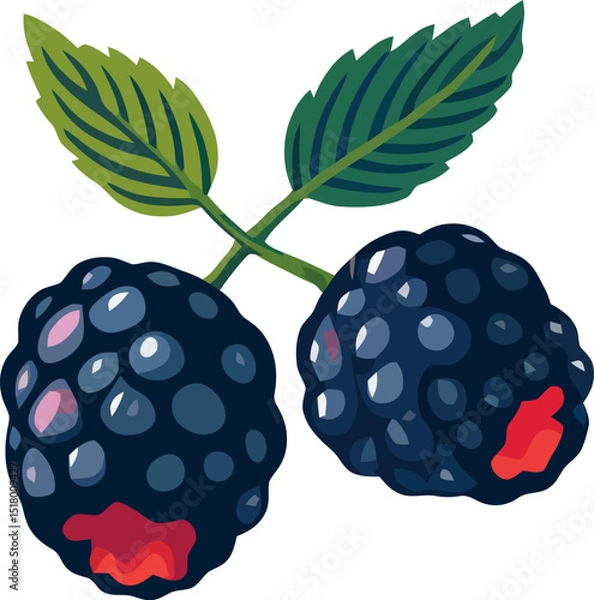 Obraz Blackberries on a vine showcase vibrant color and freshness in a clean design